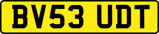 BV53UDT