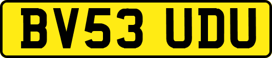 BV53UDU