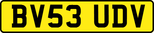 BV53UDV