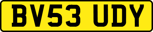 BV53UDY