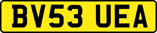 BV53UEA