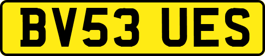 BV53UES