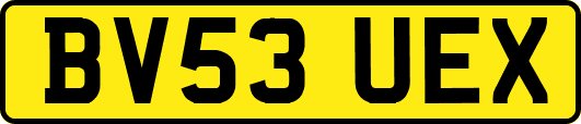 BV53UEX