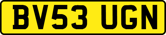 BV53UGN
