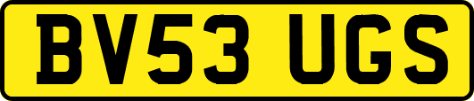 BV53UGS