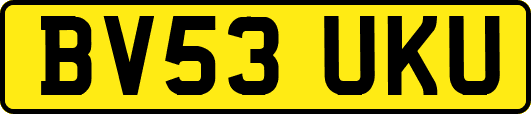 BV53UKU