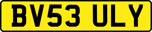 BV53ULY