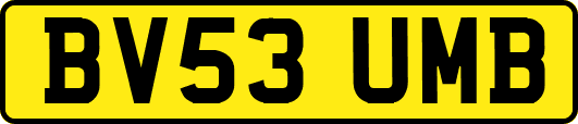 BV53UMB