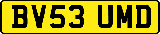 BV53UMD
