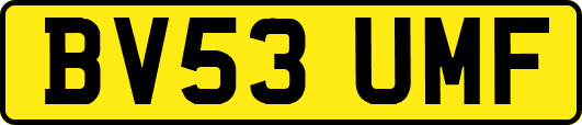 BV53UMF