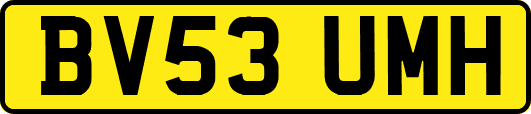 BV53UMH