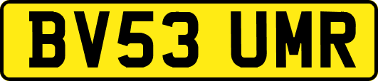 BV53UMR
