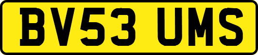 BV53UMS