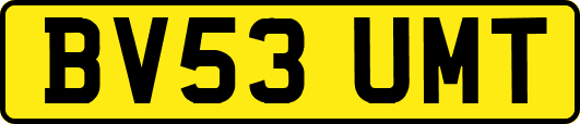 BV53UMT