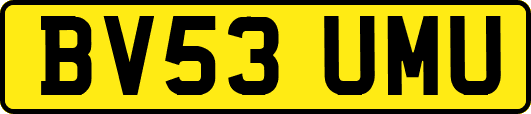 BV53UMU