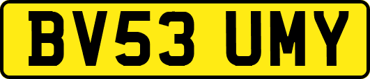 BV53UMY