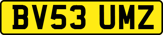 BV53UMZ