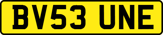 BV53UNE