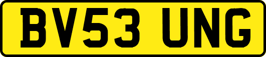 BV53UNG