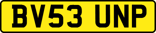 BV53UNP