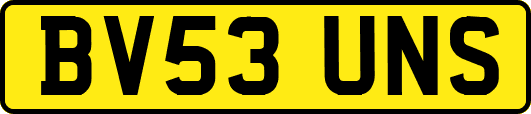 BV53UNS