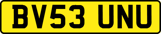 BV53UNU
