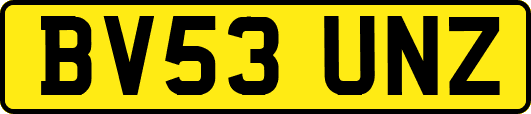 BV53UNZ
