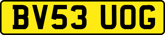 BV53UOG
