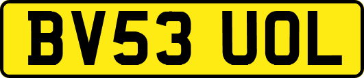 BV53UOL