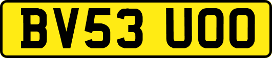 BV53UOO