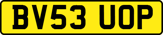 BV53UOP