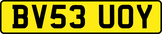 BV53UOY