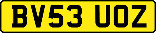 BV53UOZ