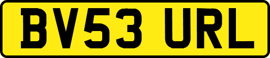 BV53URL
