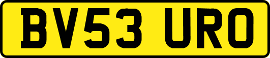 BV53URO