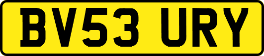 BV53URY
