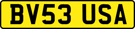 BV53USA