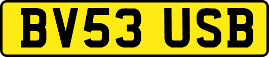 BV53USB
