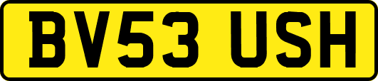 BV53USH