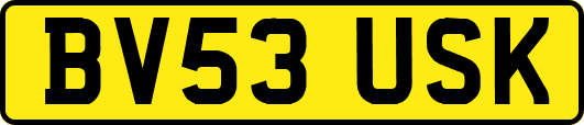 BV53USK