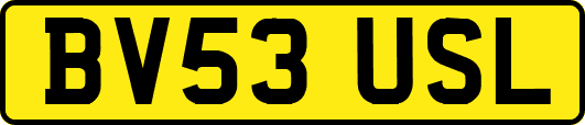 BV53USL