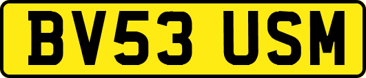 BV53USM