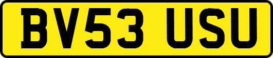BV53USU