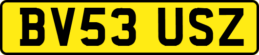 BV53USZ