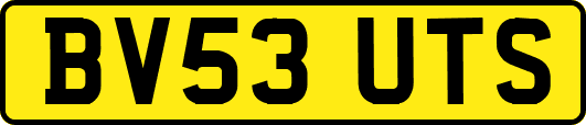 BV53UTS