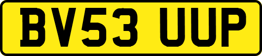 BV53UUP