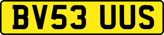 BV53UUS