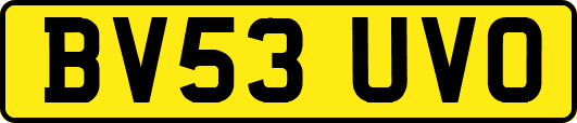 BV53UVO