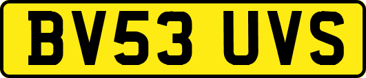 BV53UVS