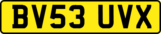 BV53UVX